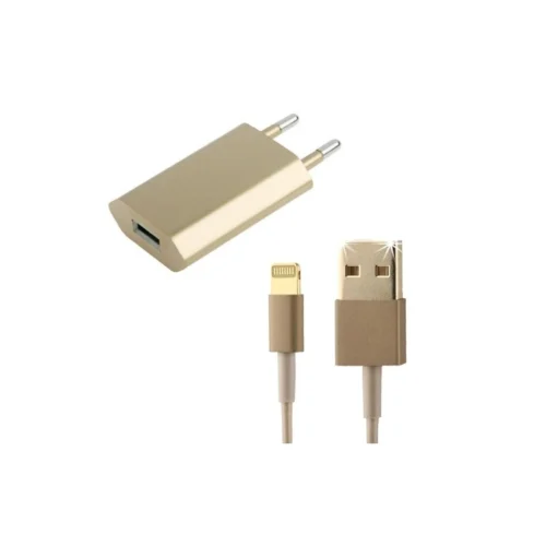 Câble Lightning Et Adaptateur Secteur Or / Gold