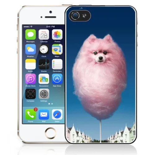 Coque IPhone 5 Et 5S Barbachien
