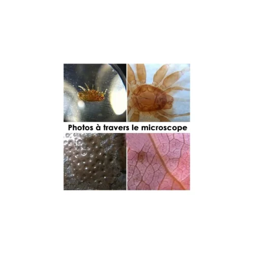 Microscope IPhone 5 -Atelier Mobile microscope iphone 5 3